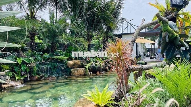 Nhà Vườn Sân Vườn Ngay Cạnh Biển Lộc An | Bà Rịa Vũng Tàu