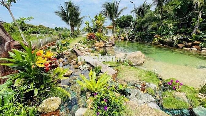 Nhà Vườn Sân Vườn Ngay Cạnh Biển Lộc An | Bà Rịa Vũng Tàu
