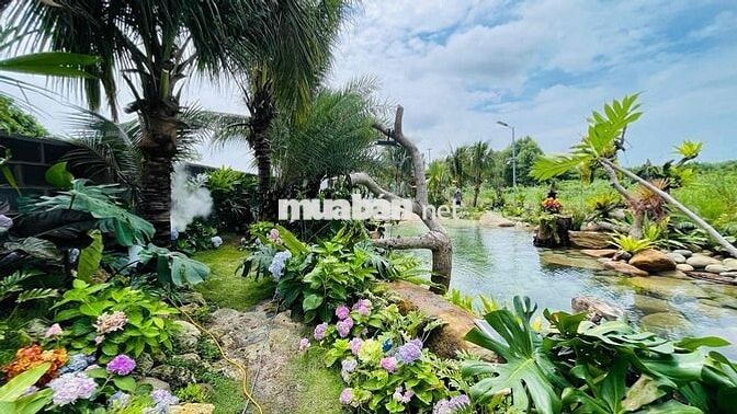 Nhà Vườn Sân Vườn Ngay Cạnh Biển Lộc An | Bà Rịa Vũng Tàu