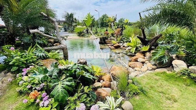 Nhà Vườn Sân Vườn Ngay Cạnh Biển Lộc An | Bà Rịa Vũng Tàu