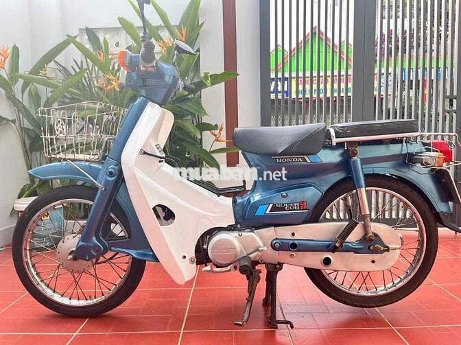Honda Super Cub 50 Xanh trắng Cổ điển