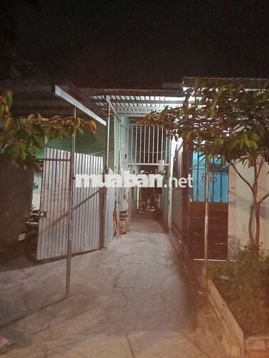 cần bán dãy trọ 15 phòng  310m2 . ấp mới 1 tô Ký hóc môn ..