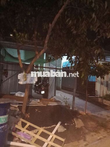 cần bán dãy trọ 15 phòng  310m2 . ấp mới 1 tô Ký hóc môn ..