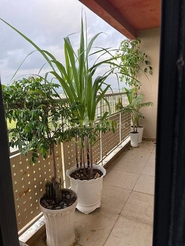 Cần bán căn hộ tầng cao, view sông
