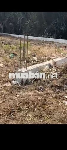 BÁN 525 M2 ĐẤT TRỒNG CÂY LÂU NĂM LÊ VĂN LƯƠNG , NHƠN ĐỨC, NHÀ BÈ