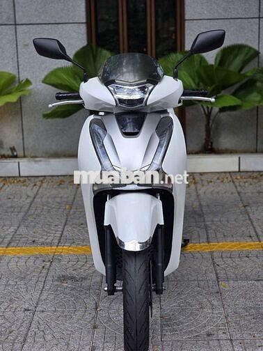 Honda SH 2019 Trắng