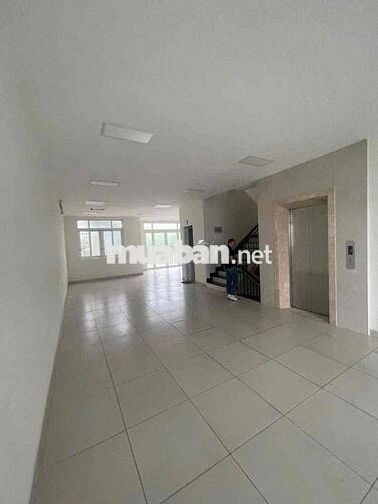 CHO THUÊ BIỆT THỰ HIM LAM Q7, HẦM TRỆT 3 LẦu, THANG MÁY 55 TRIỆU