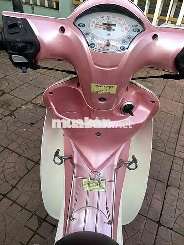 SYM Angela 50 Trắng, Hồng Zin êm