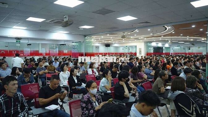 Tuyển môi giới tự do, làm việc tự do