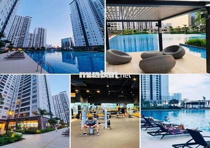 💥 SỞ HỮU CĂN HỘ SUNRISE RIVERSIDE CHỈ VỚI 30% VỐN TỰ CÓ – SỔ SẴN