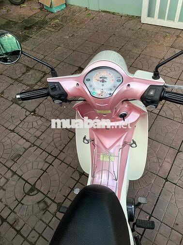 SYM Angela 50 Trắng, Hồng Zin êm