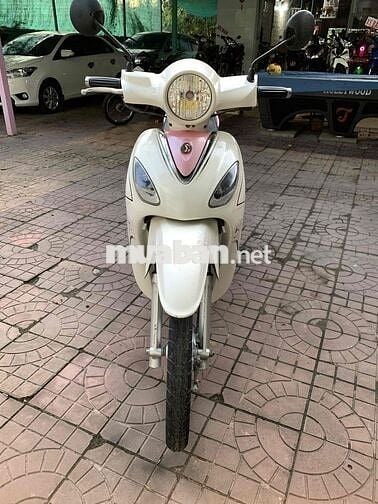 SYM Angela 50 Trắng, Hồng Zin êm