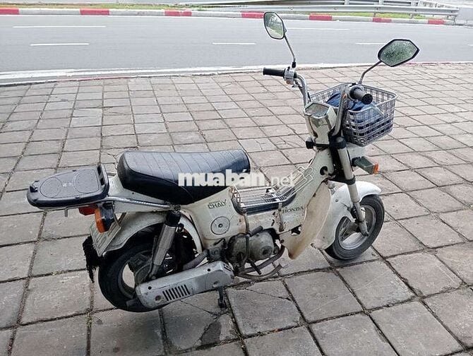 Honda Chaly 2020 Trắng Việt Thái