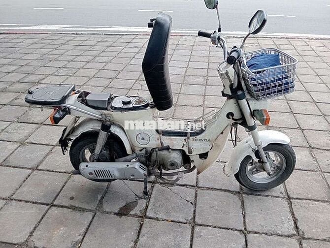 Honda Chaly 2020 Trắng Việt Thái