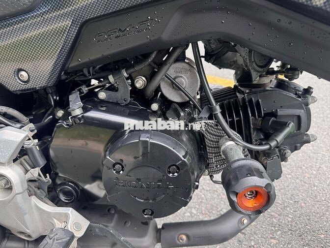Honda MSX 125 2019 Xanh lá 18k km