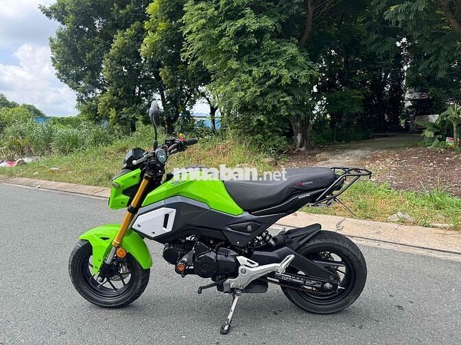 Honda MSX 125 2019 Xanh lá 18k km