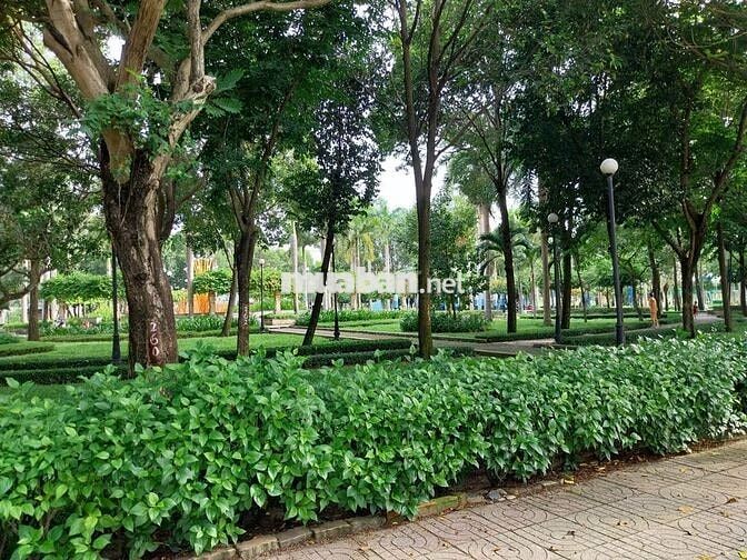 Chính chủ bán đất đường Phạm Văn Đồng, Khu Vạn Hạnh, Phú Mỹ, Vũng Tàu