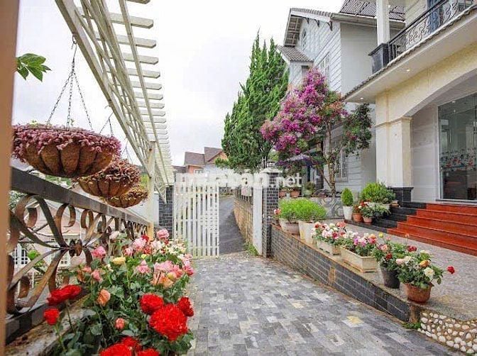 Cần bán Villa , P3 , TP.Đà Lạt