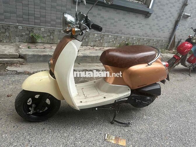 Honda Scoopy Crea 50cc Vàng kem