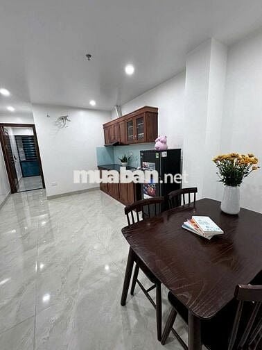 Chính chủ cho thuê CHDV 1N1K tại ngõ 110 Trần Duy Hưng - 7tr8 có fix
