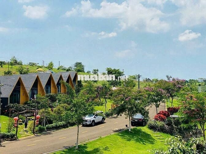 Bungalow Nghỉ Dưỡng View Đồi Chè Tâm Châu, Sổ Sẵn, Công Chứng
