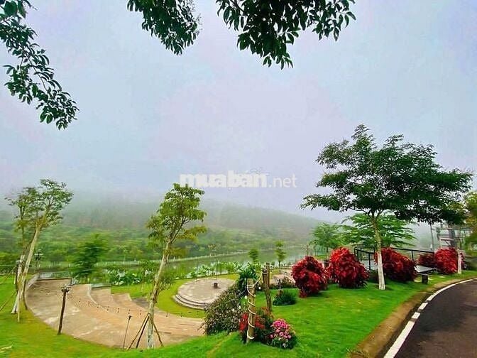 Bungalow Nghỉ Dưỡng View Đồi Chè Tâm Châu, Sổ Sẵn, Công Chứng