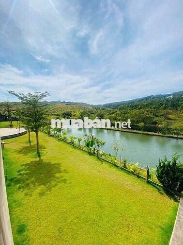 Bungalow Nghỉ Dưỡng View Đồi Chè Tâm Châu, Sổ Sẵn, Công Chứng