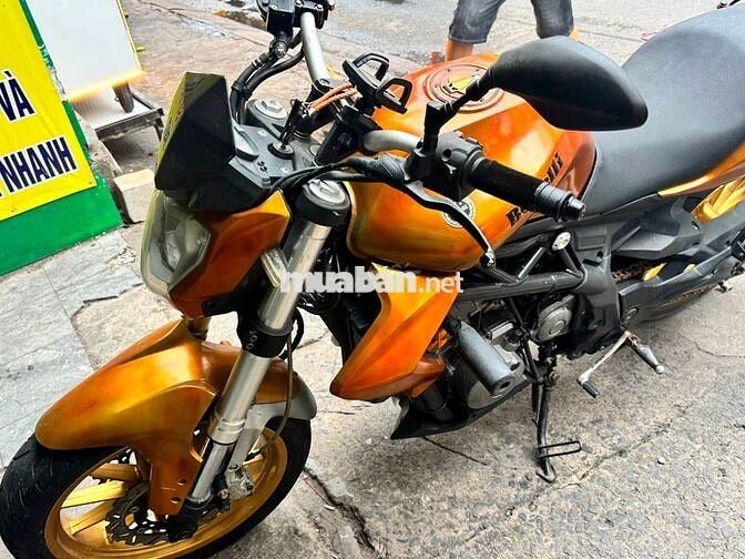 Benelli 302 date 2016