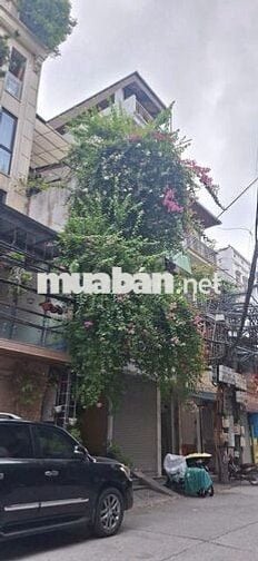 Chính chủ - Nhà 5 tầng Phúc Tân sát ĐL Sông Hồng-Ko dành cho tay Mơ!