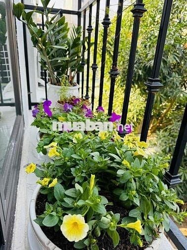 HÓT! CHÍNH CHỦ BÁN NHÀ PHỐ NGUYỄN TRÃI – 36M² x 5 TẦNG – CÁCH Ô TÔ 12M