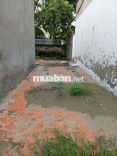 Tôi chính chủ bán 92,2m2 sổ đỏ tại Xóm Trong, Uy nỗ, Đông anh, Hà Nội