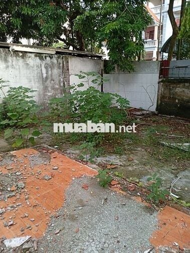 Tôi chính chủ bán 92,2m2 sổ đỏ tại Xóm Trong, Uy nỗ, Đông anh, Hà Nội