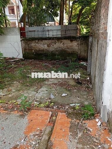 Tôi chính chủ bán 92,2m2 sổ đỏ tại Xóm Trong, Uy nỗ, Đông anh, Hà Nội