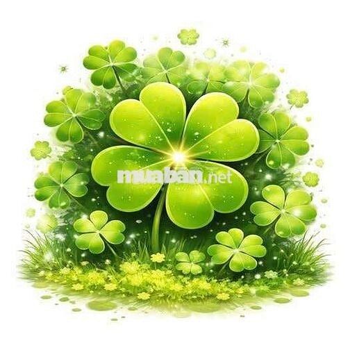 Chính chủ cần bán gấp căn nhà khách thiện chí gặp trực tiếp em