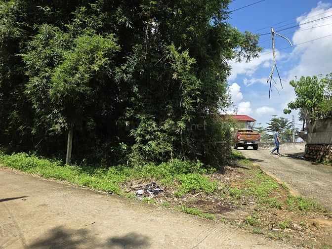  Bán gấp Siêu Phẩm Khoáng nóng 450m full tc giá rẻ chỉ 3,x tỷ Hoà Binh