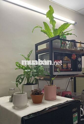 PASS TRỌ ĐANG Ở - Q3 Cư Xá Đô Thành