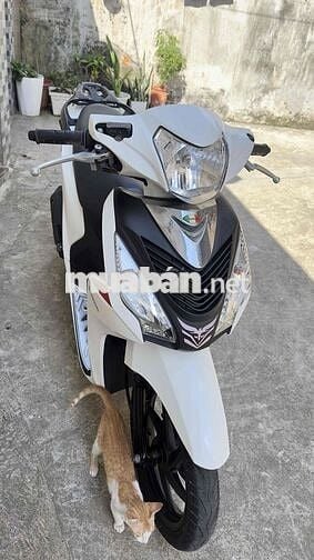 bán xe Honda Vision Trắng