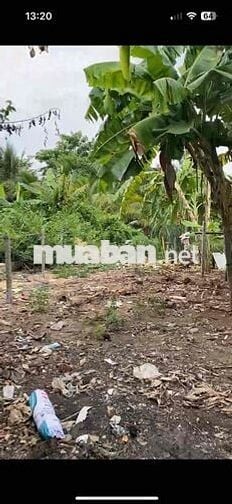 Chính chủ cần bán gấp đất nền full thổ cư
