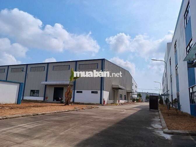 ✅✅ CHO THUÊ KHO/XƯỞNG 5.000M² TẠI ĐÀ NẴNG – MỚI 100%, CHỈ 55.000Đ/M²