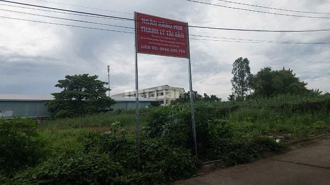 Công ty đấu giá hợp danh Sao Việt 