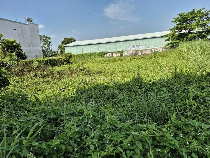 Công ty đấu giá hợp danh Sao Việt 