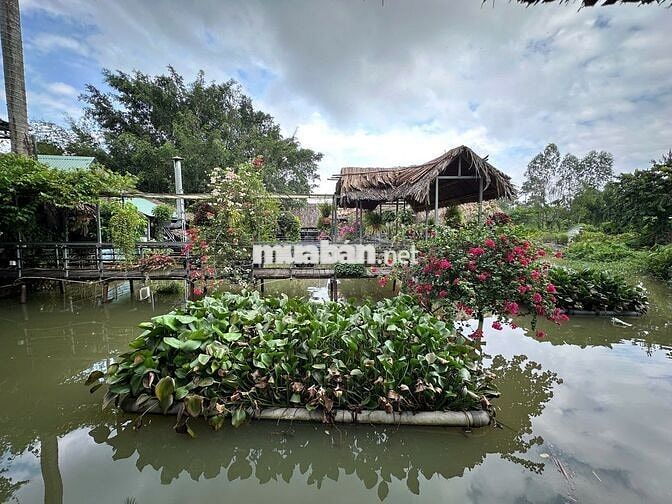 TUYỂN PHỤC VỤ - BIÊN HOÀ