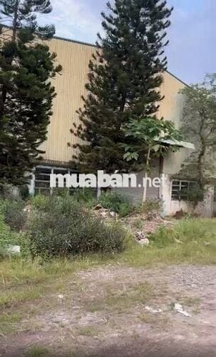 BÁN 10.000M2 KHO XƯỞNG MT TRẦN ĐẠI NGHĨA, HUYỆN BÌNH CHÁNH.