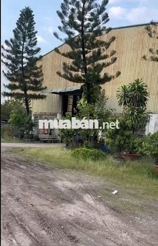 BÁN 10.000M2 KHO XƯỞNG MT TRẦN ĐẠI NGHĨA, HUYỆN BÌNH CHÁNH.