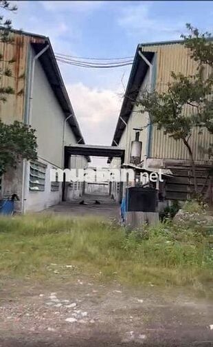BÁN 10.000M2 KHO XƯỞNG MT TRẦN ĐẠI NGHĨA, HUYỆN BÌNH CHÁNH.