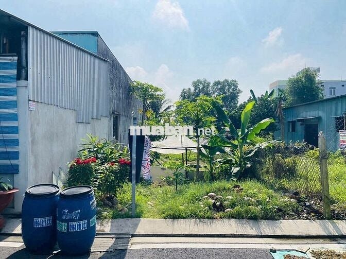 SỞ HỮU NGAY 338m² ĐẤT TIỀM NĂNG CỦ CHI - SINH LỜI CAO! chỉ 1ty750 
