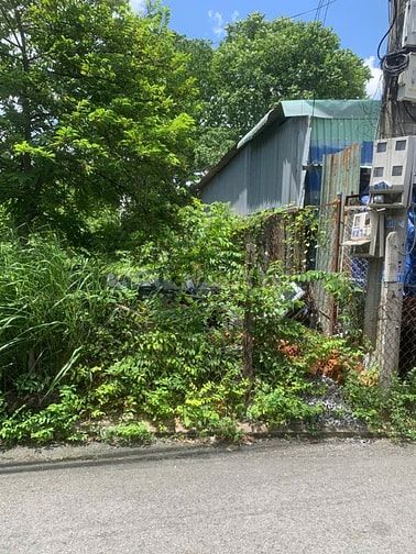 🏡 CHÍNH CHỦ BÁN ĐẤT ĐẸP LÊ HỒNG PHONG – NGÃ TƯ ĐỊA CHẤT 🏡