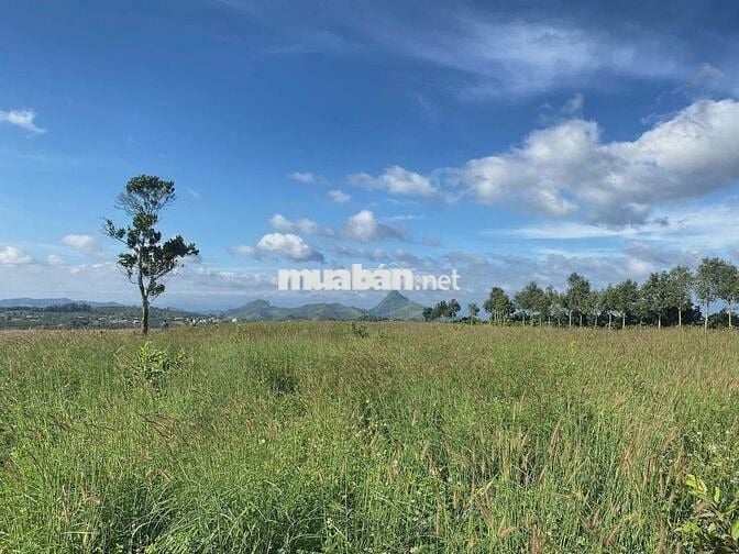 ĐẤT NHÀ VƯỜN NHÌN HỒ TÀ ĐÙNG - 816M² - 400M² ĐẤT Ở - 8.12 TỶ