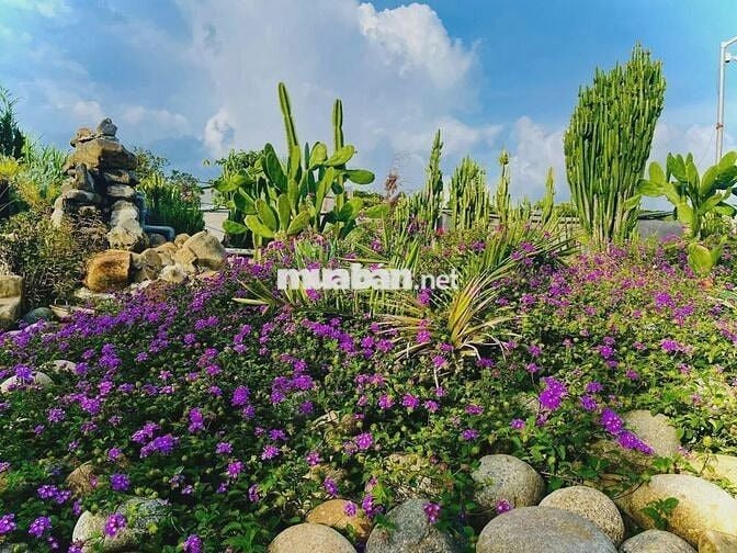 ĐẤT VILLA NHÌN HỒ TÀ ĐÙNG - HƠN 2.000M² - HẬU BÁM HỒ 23M - 447M² ĐẤT Ở