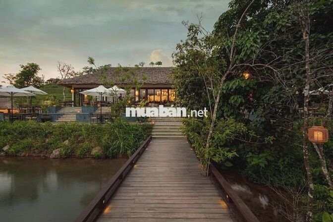 ĐẤT NHÀ VƯỜN NHÌN HỒ TÀ ĐÙNG - 816M² - 400M² ĐẤT Ở - 8.12 TỶ
